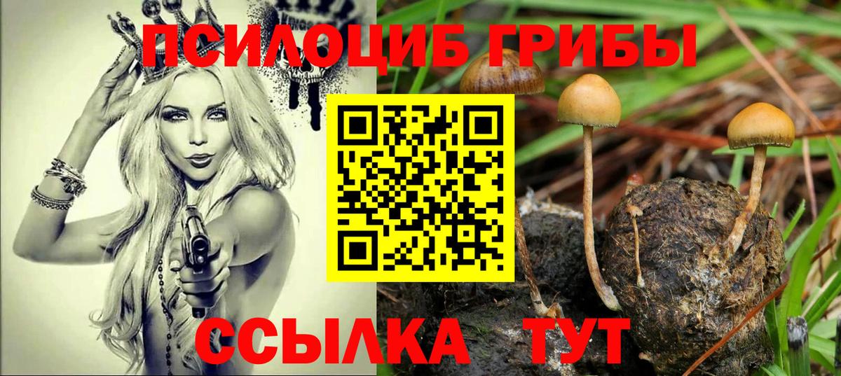 Галлюциногенные грибы Psilocybine cubensis Назарово